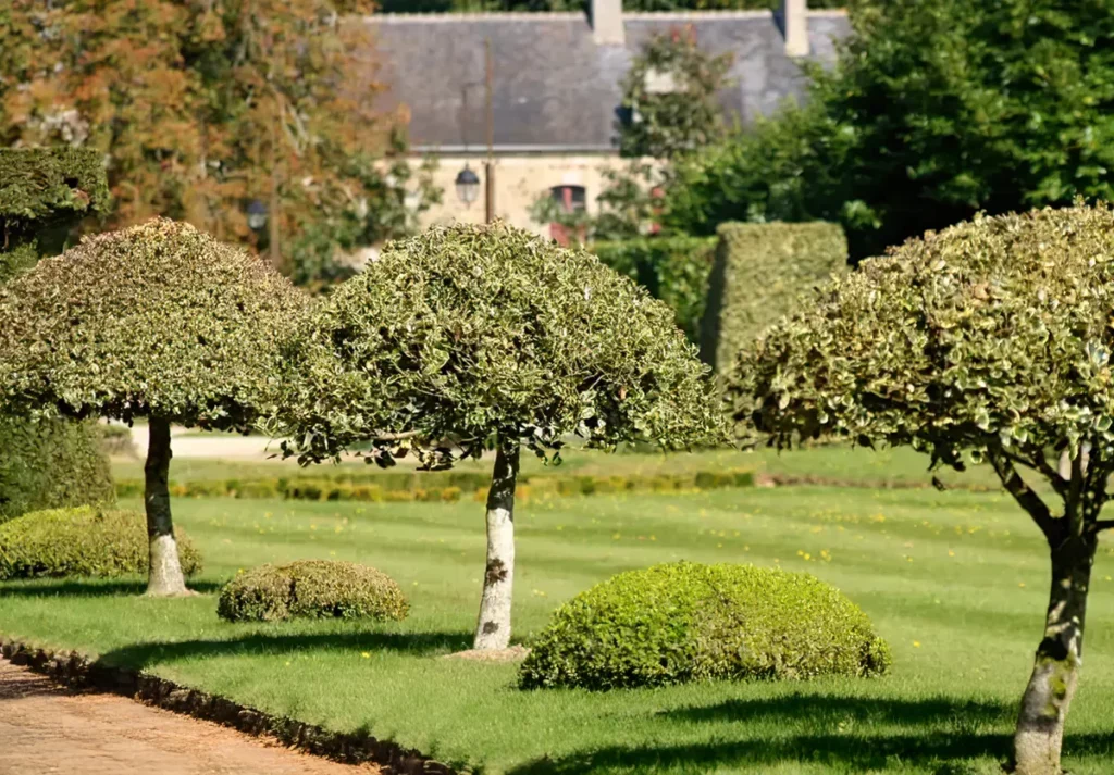 Evette Julien Paysagiste Paysagiste A Moelan Sur Mer 03