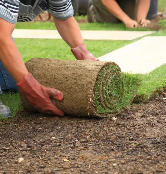 Evette Julien Paysagiste Paysagiste A Moelan Sur Mer Gazon Et Placage Evette Julien Paysagiste Paysagiste A Moelan Sur Mer Gazon Et Placage